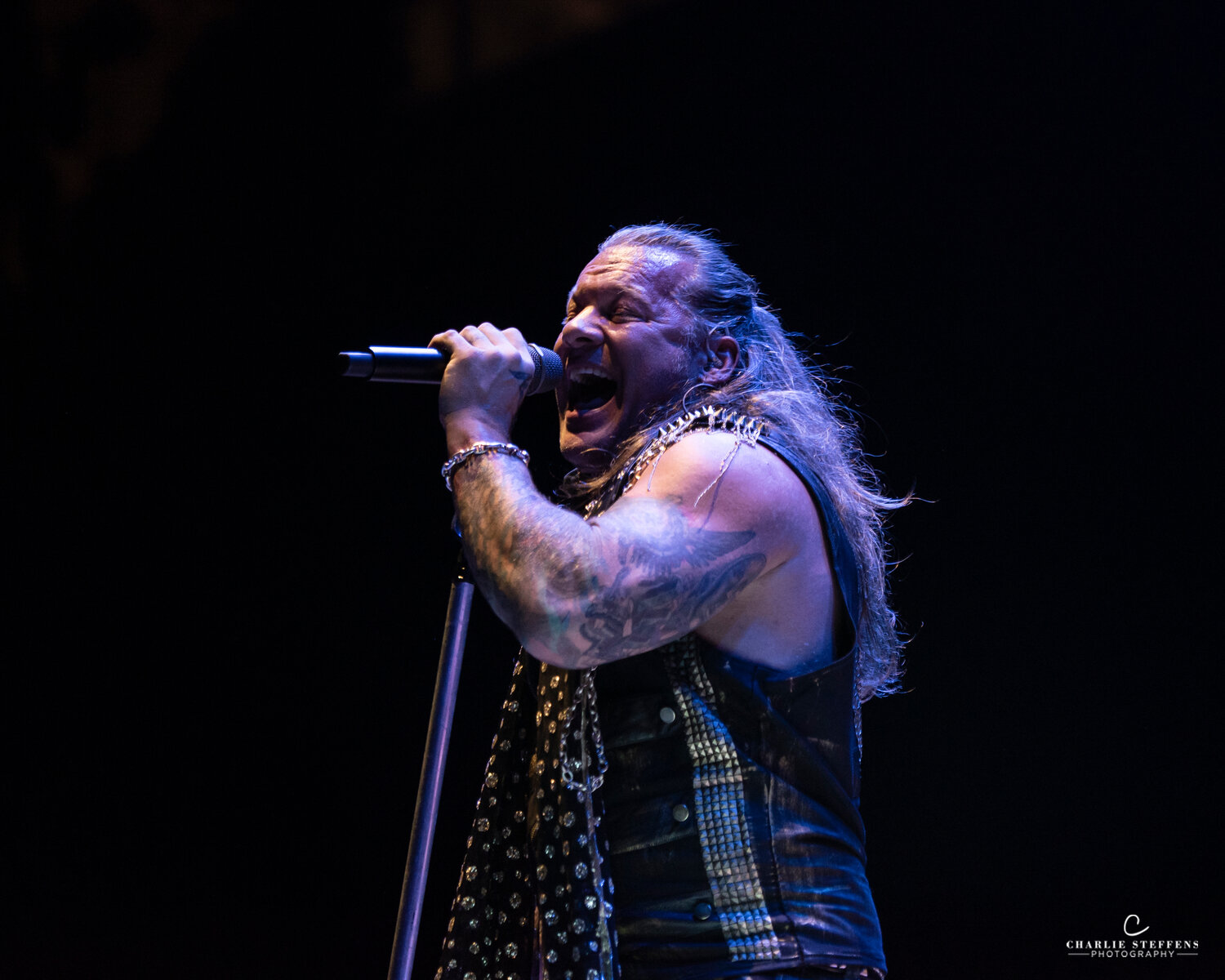 Fozzy-2666.jpg