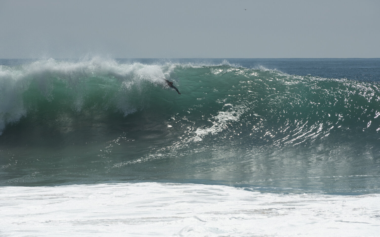 wedge-091421_-7189.JPG