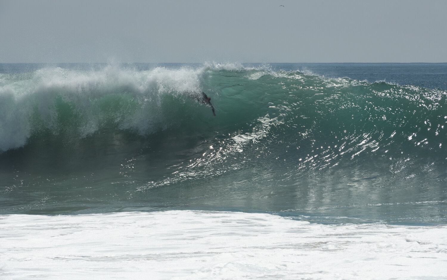 wedge-091421_-7190.JPG