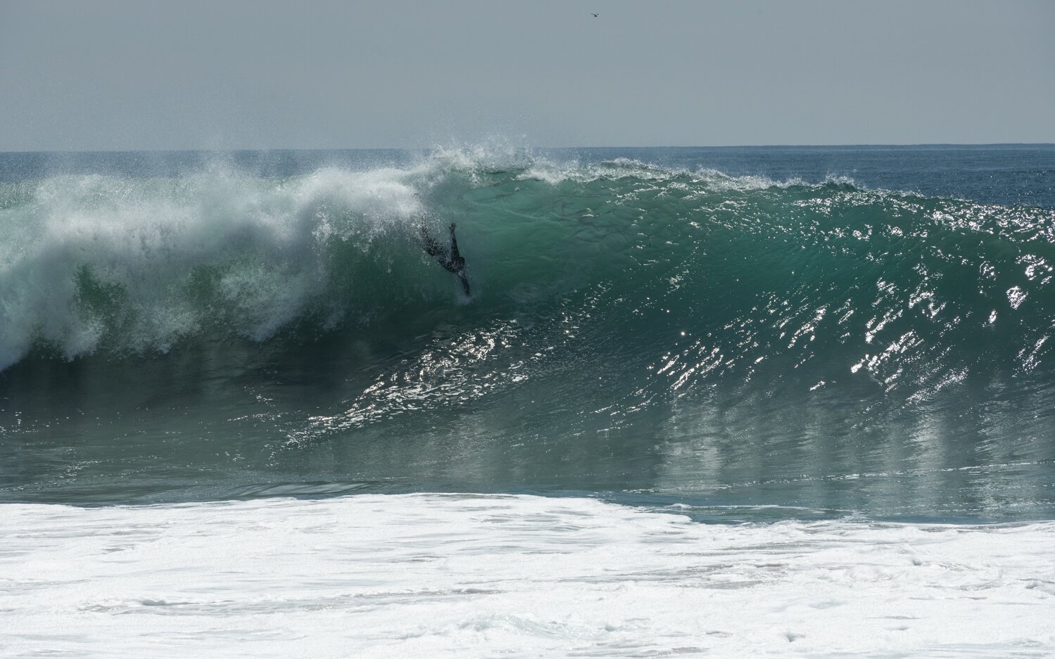 wedge-091421_-7191.jpg