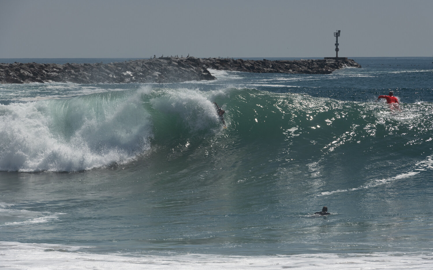 wedge-091421_e-7312.JPG