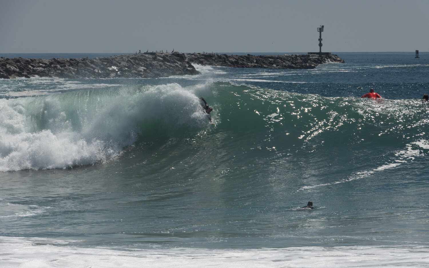 wedge-091421_e-7313.JPG