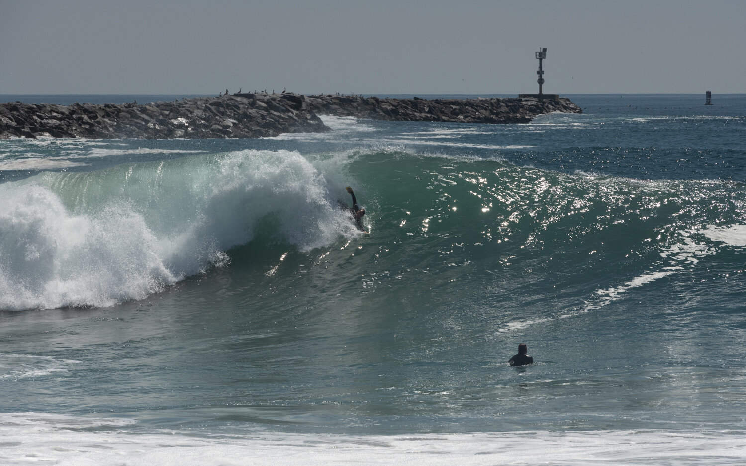 wedge-091421_e-7314.JPG