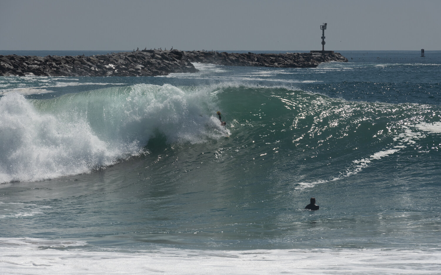 wedge-091421_e-7315.JPG
