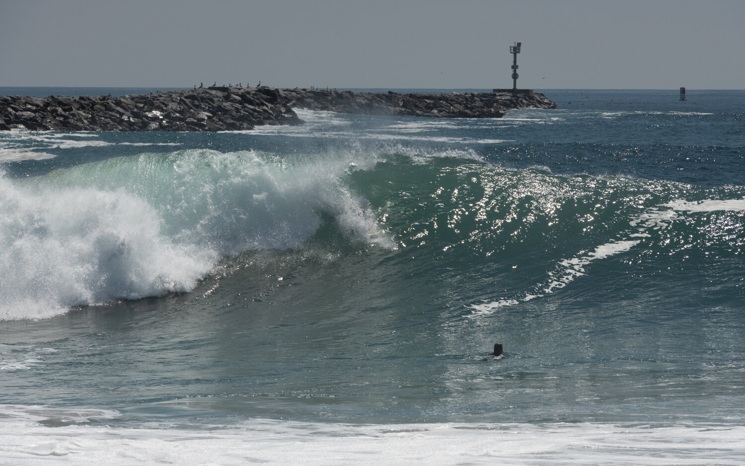 wedge-091421_e-7316.JPG