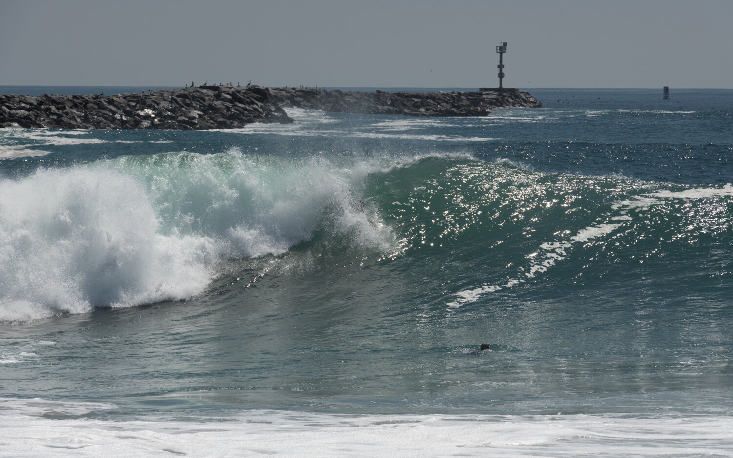 wedge-091421_e-7317.JPG