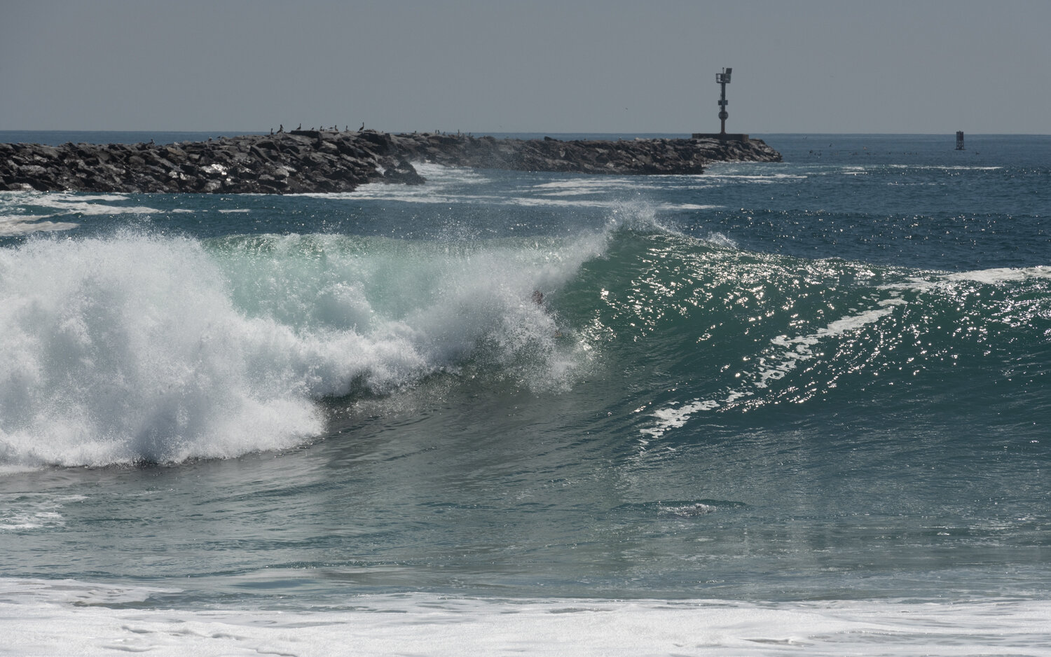 wedge-091421_e-7318.JPG