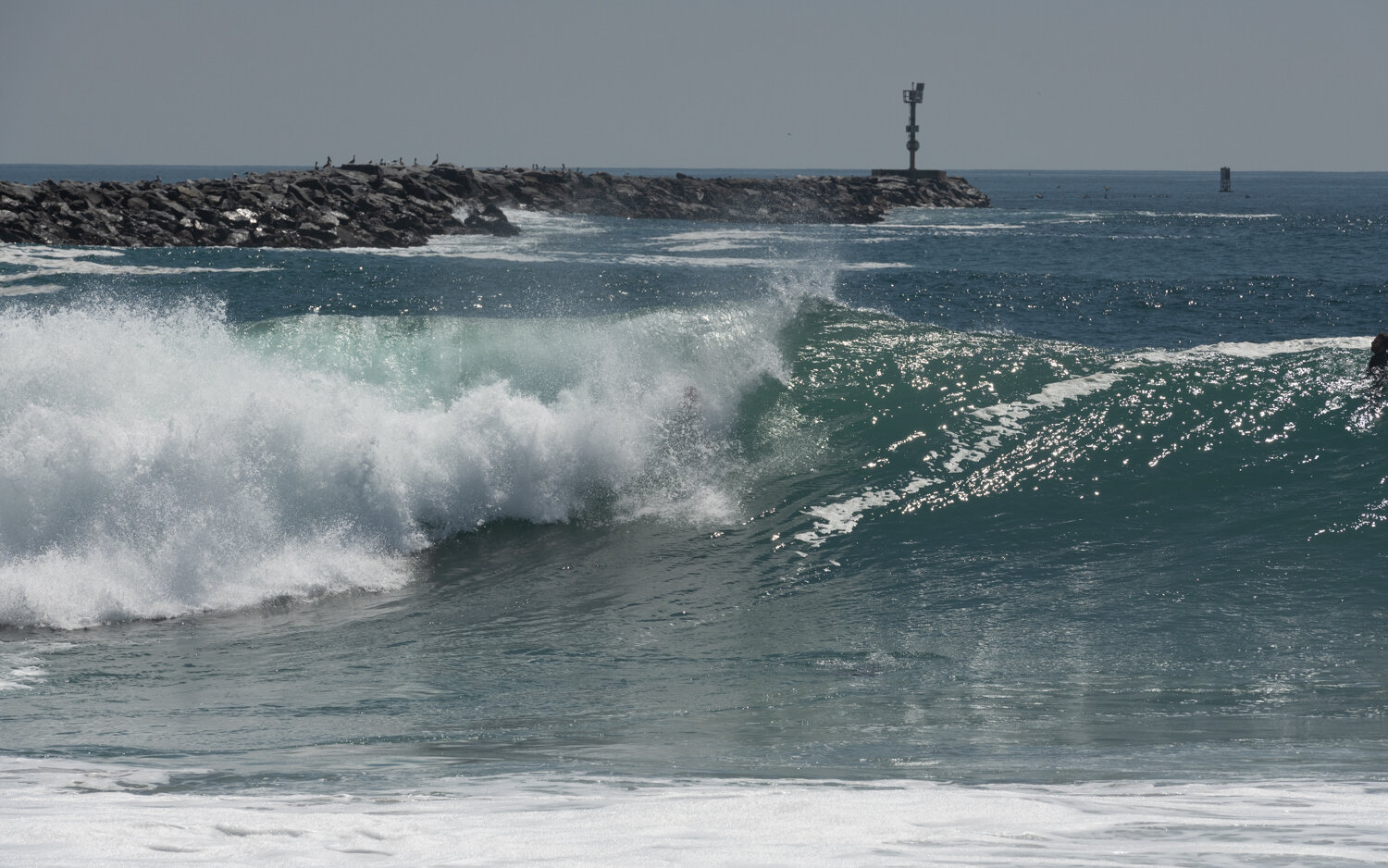 wedge-091421_e-7319.JPG