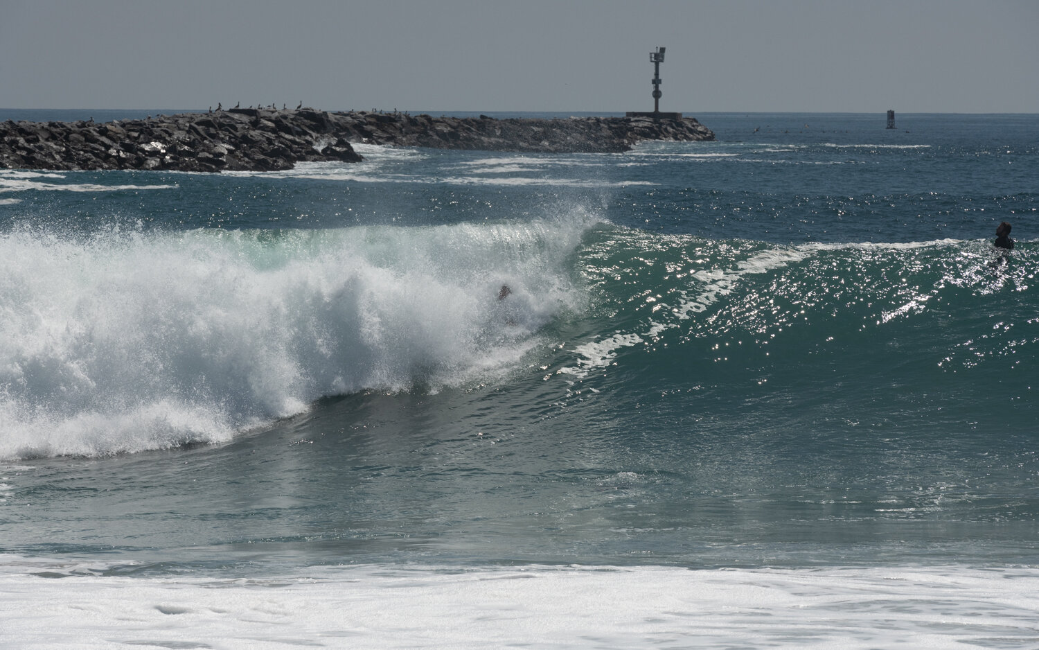 wedge-091421_e-7320.JPG