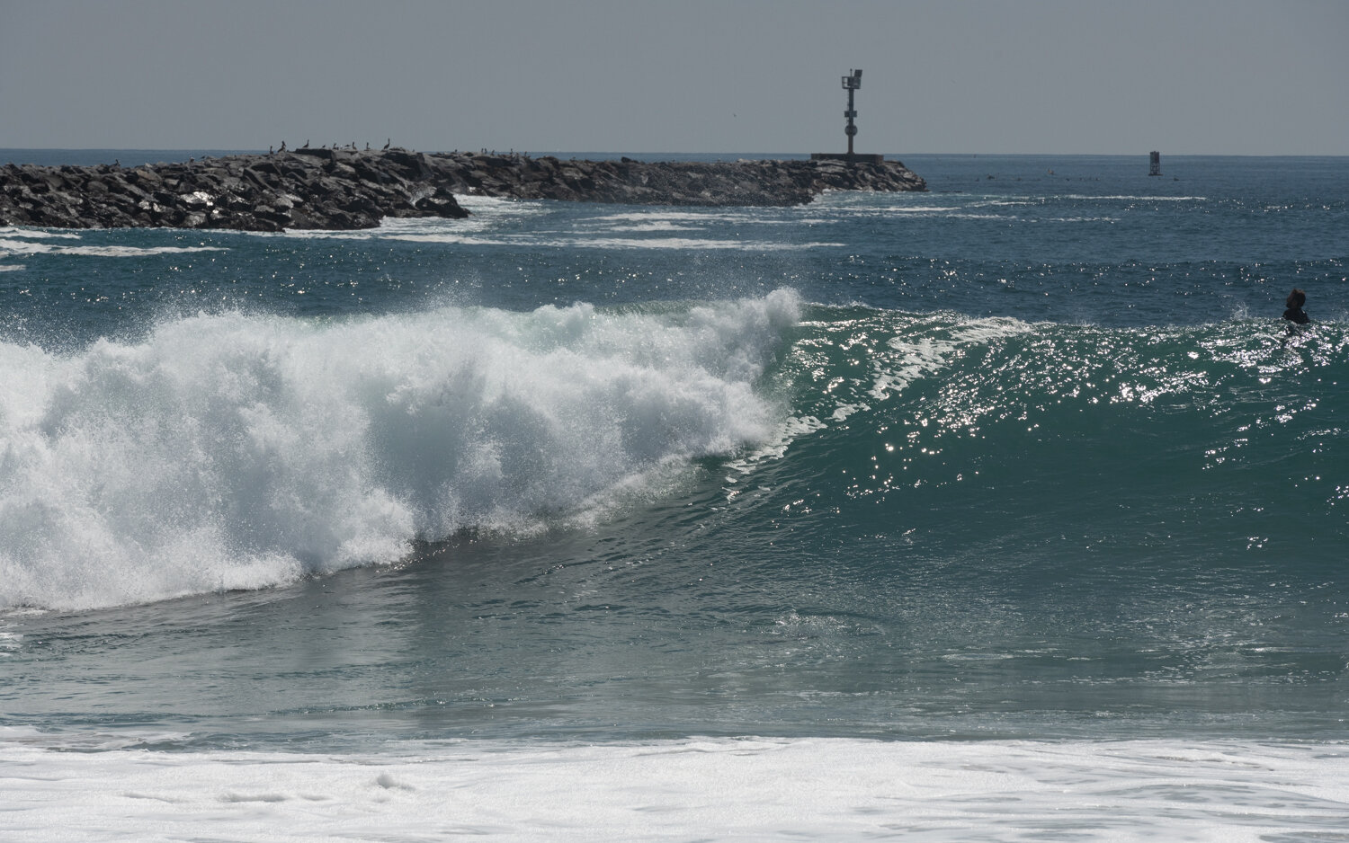 wedge-091421_e-7321.JPG