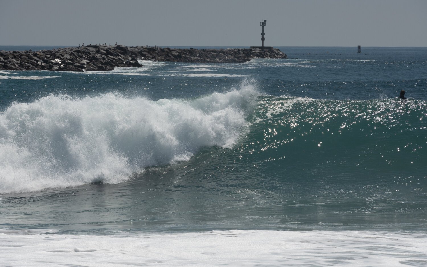 wedge-091421_e-7322.JPG