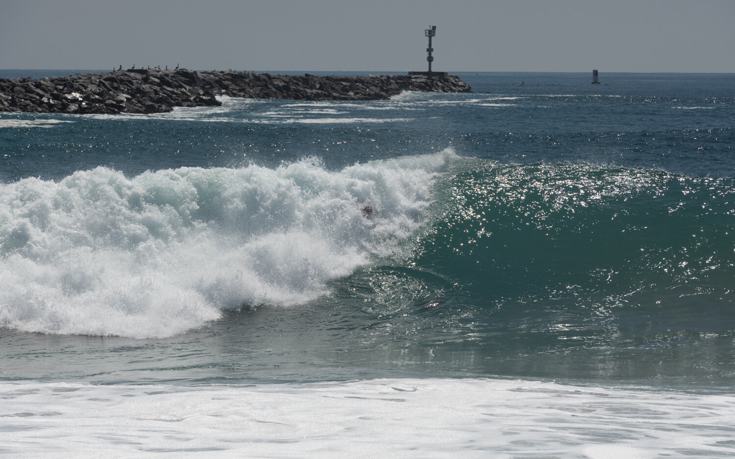 wedge-091421_e-7323.JPG