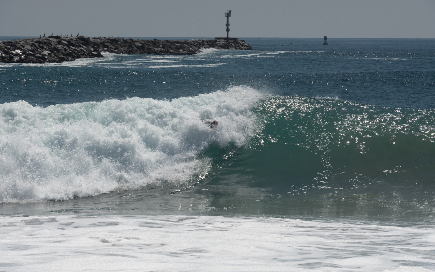 wedge-091421_e-7324.JPG