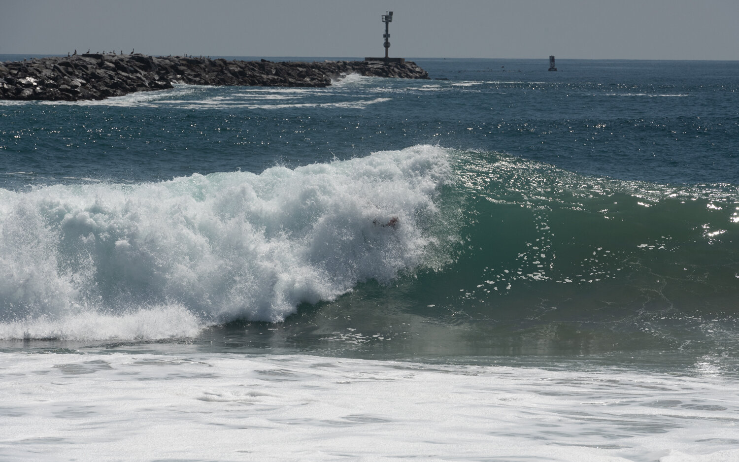 wedge-091421_e-7325.JPG