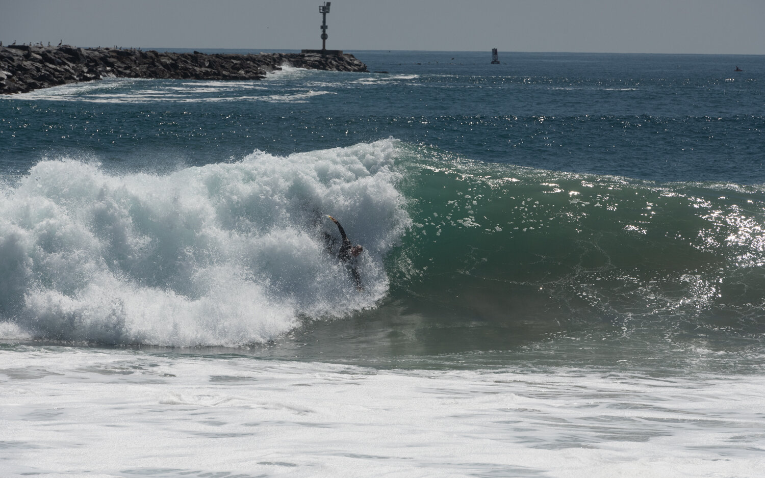 wedge-091421_e-7326.JPG
